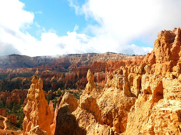 99497E4D5BC56AE42BE7BB