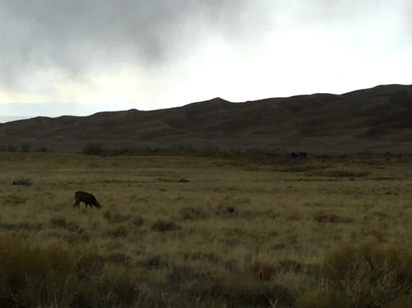 242775505700333428C825