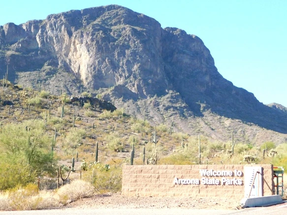 99C9DE335A28ADE30BBA78