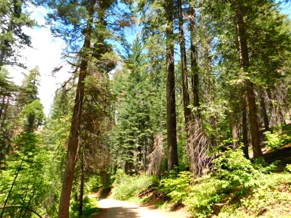 2518253D57721939359A76