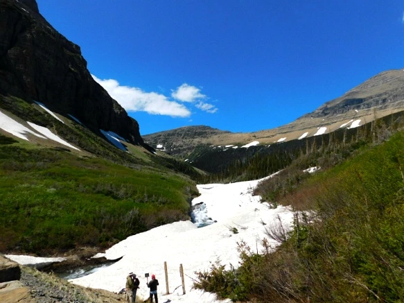 99A9764E5B3573FC12D256