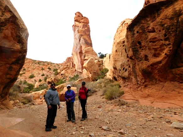 99EB57335A18D5151A6592