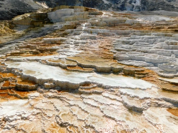 9999D33359ADFB0108FF55