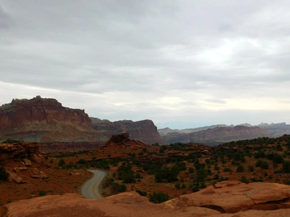 99B7AF3359B74D4D2CE25A