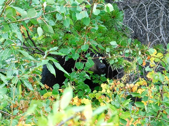 99346A435B8DC24D2B8EEA