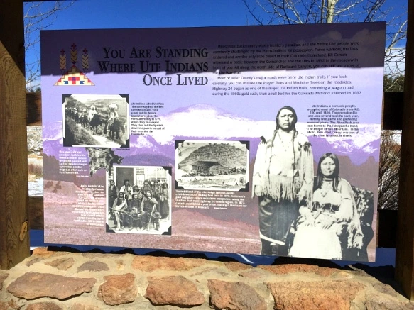 22042D3956F735852782E9