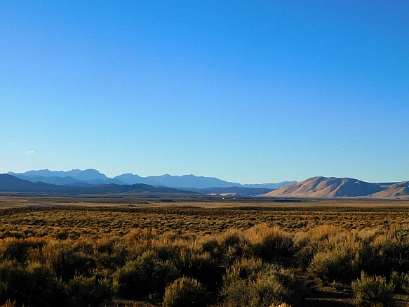 99BEC9385BD3E5FD177B41