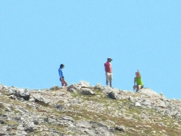 993AA0455B74CDCE3925BE