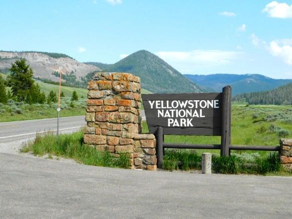 9990CE465B39A5791A356C