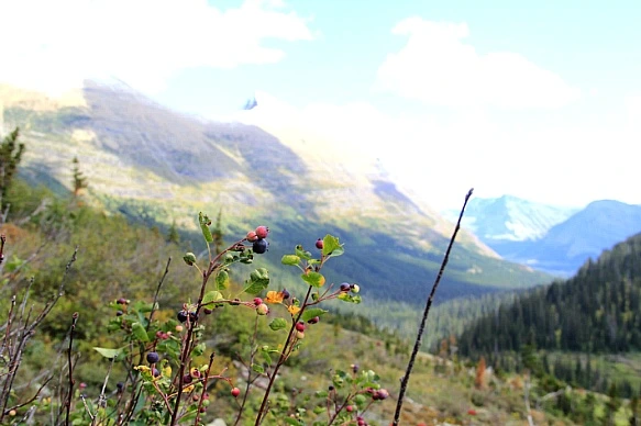 998A97445BA3142635C0B2