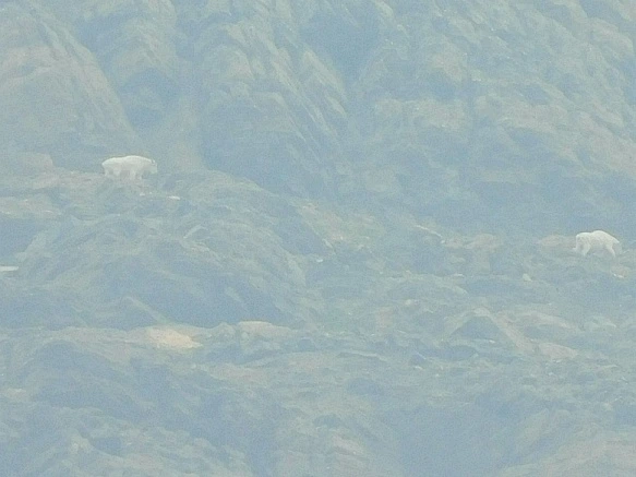 99F72C475B8A039C347874