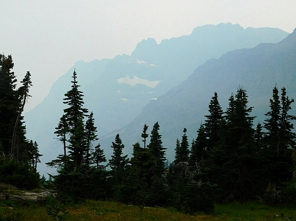 99C41A3E5B8A0370043D57