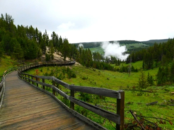 9966C4495B39A82F01DE9D