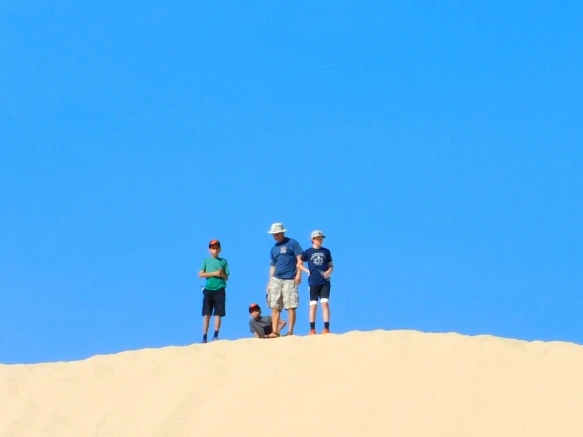 995C8B335A206EBA2E331B