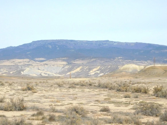 99C1E7335A0E546139D0F6