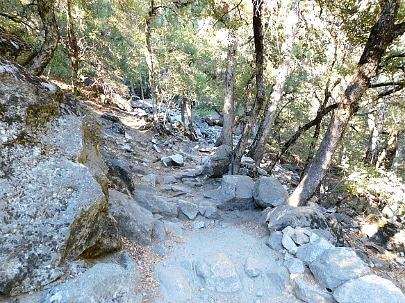 994D6A385BD912823437B9