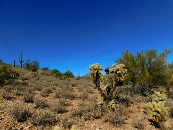 99F971335A25F32028836B