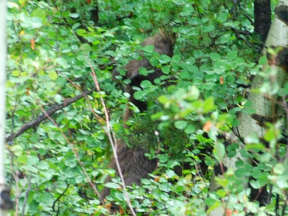 99190B435B8DC3A902BF32