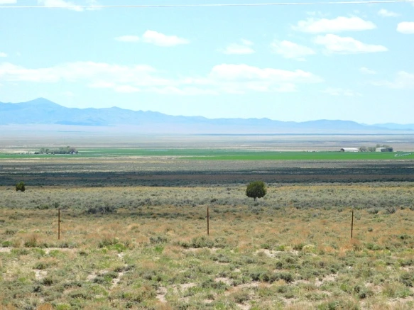 222FF74559334DEB0C05A3