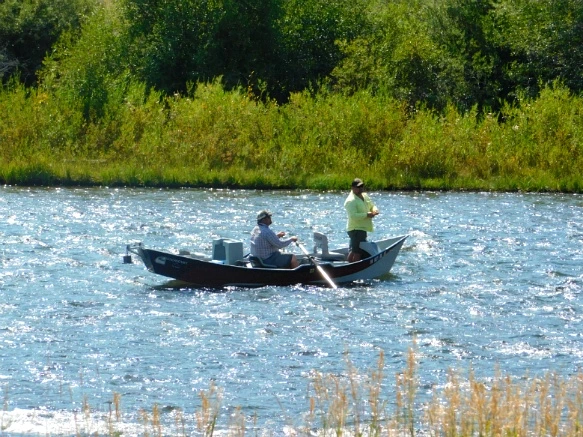 99F0F53359ACE27C1D3936