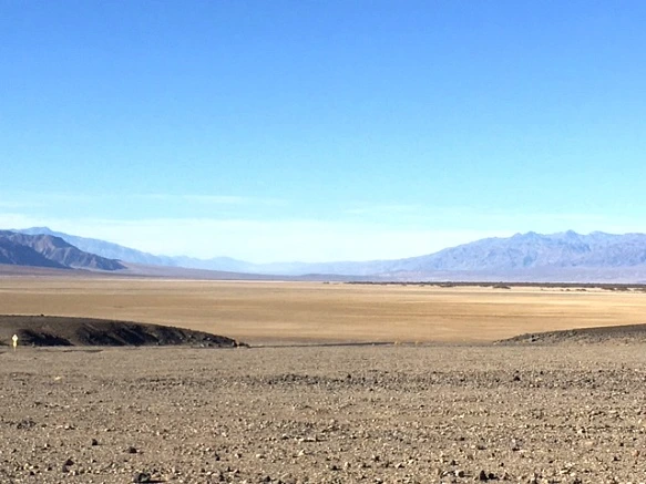 99A390335A24C1BD0F540E