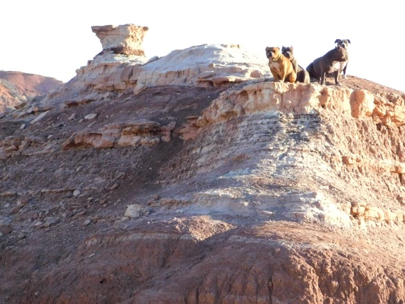 99B1A8335A1E277C27307D