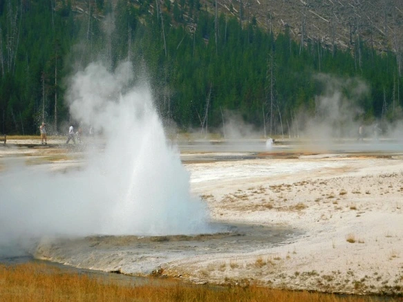 993E233359AF0E1429BB3D