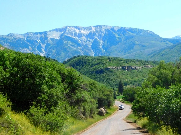 250A8B41595C316915D9DB