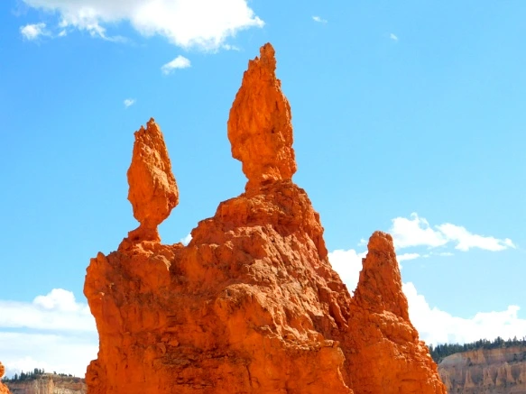 993BDD3359B9B8EE1A56F8