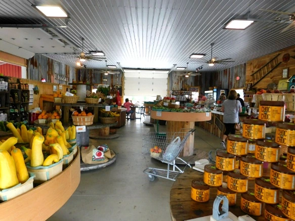 99DF13405B5FC3BA139B4F