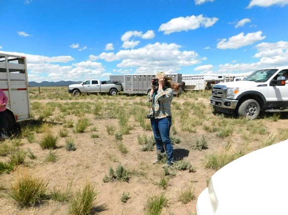 2121C6445936359703A088