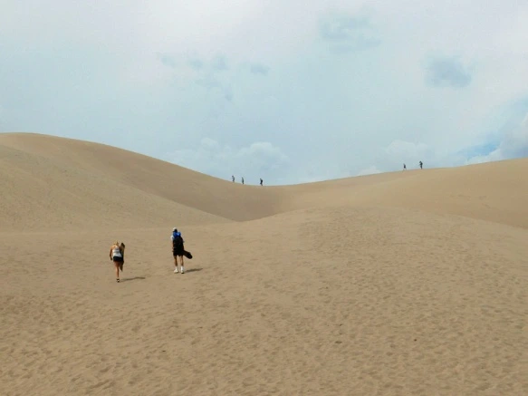 991C774D5B69238A12CEC4