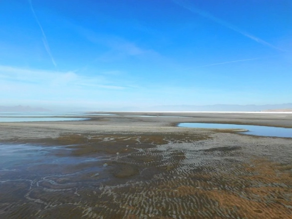 9909C0335A0E546826D986