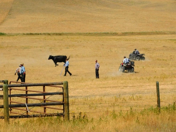 99E95E33599F9D54108E6F