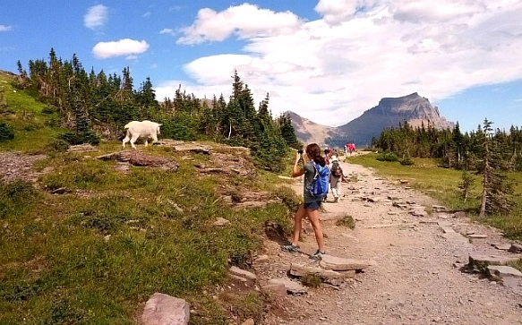 24624A3753F29A84267F25