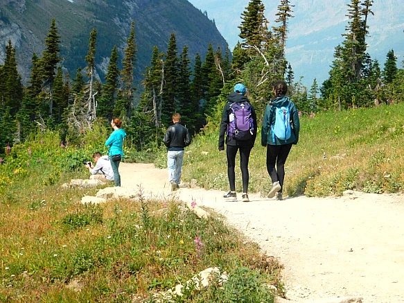 990438445B88AD100FC5E6