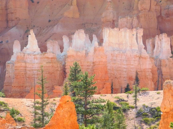 992DF43359B87AFD08D235