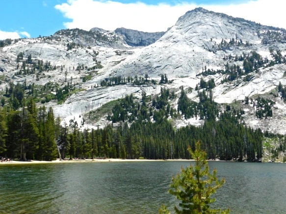 242DF041577219042A7B6E