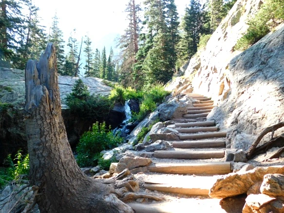 992A3B4D5B7266FF344D46