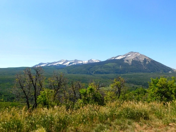 2327413F595C317E1DAC27