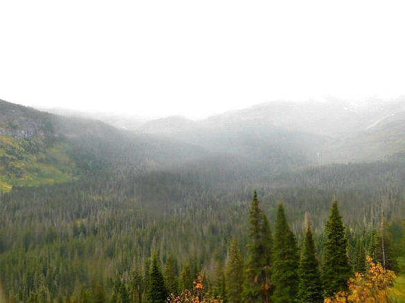 995247385BAAFE4129924F