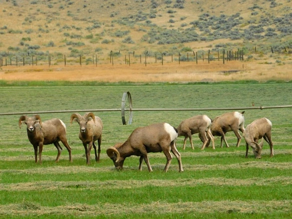 99B3F13359AB290A0D0F84