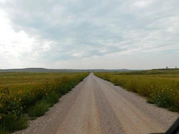 998E81425B77A1B204A286