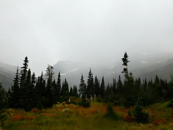 99446B445BAAFE2415FA9D