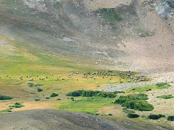 995E04455B74CDDC35AECD