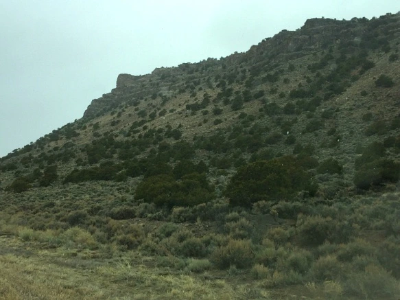 2736274A5705B1C63A49FE