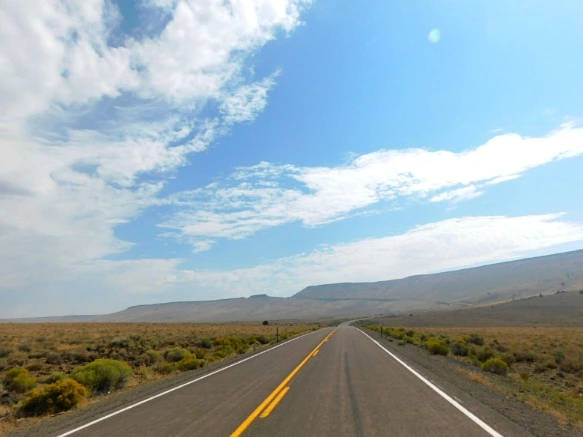 99E6113359A779F523D576