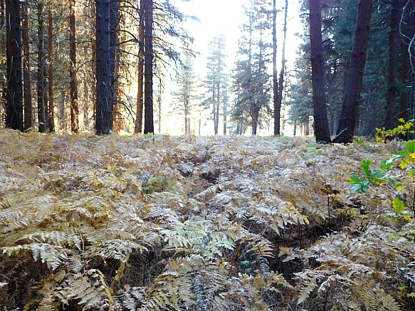 99F576485BDBD9AB45664E