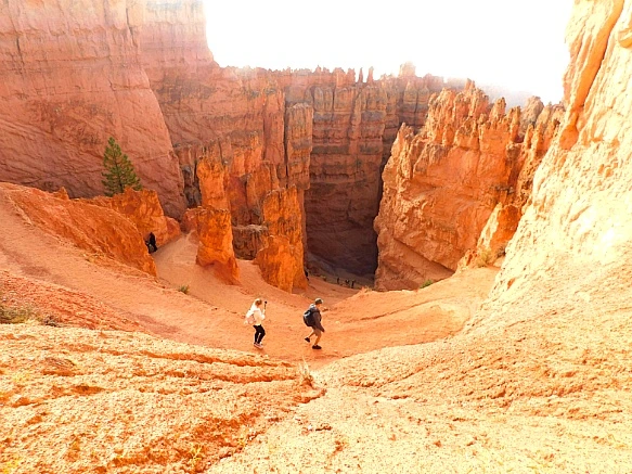 998F3F465BC2C271044EC5