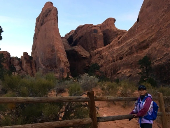 993F6A335A1111E8019204